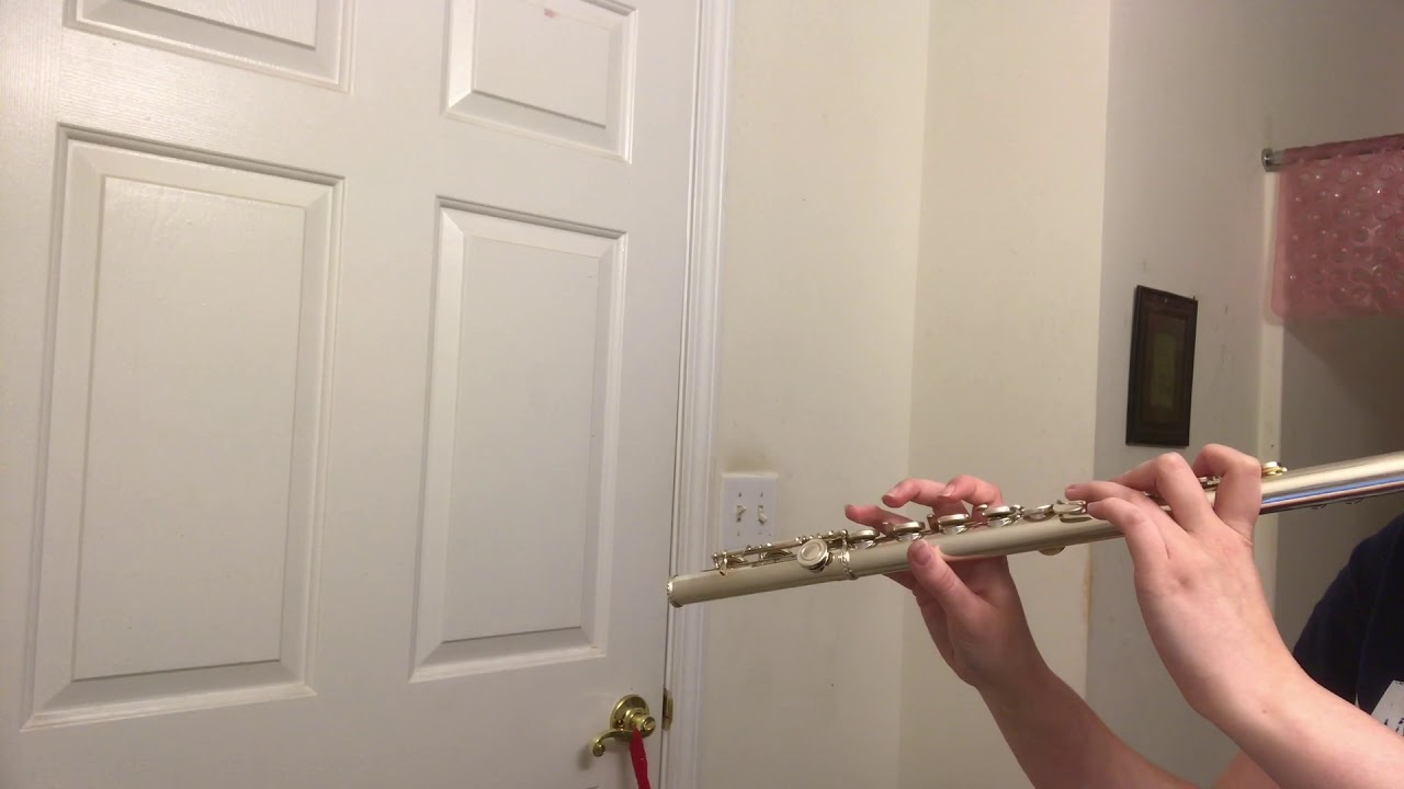 Pirates of the Caribbean Medley Flute - Michael Sweeney