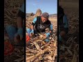 Easy DIY Corn Husk Peeling Tool | Fast Corn Shelling Farm Hack