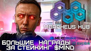 🔥Проект Morpheus Hub! Чего ждать ?