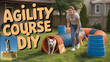 Create an OLYMPIC Agility Course in Your Backyard Overnight!