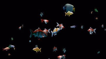 Hologram Fish by Dijor Hightech