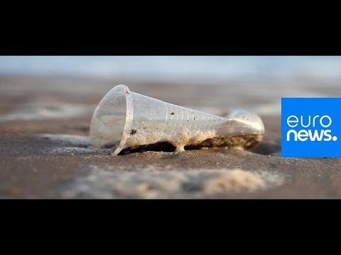 2018 Review: Single-use plastics to be banned in EU