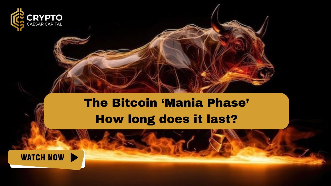 The Bitcoin Mania Phase