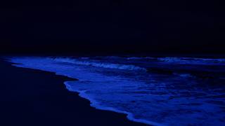 Dark Ocean Waves at Night - Organic White Noise, Black Screen for Sensory Relaxation.