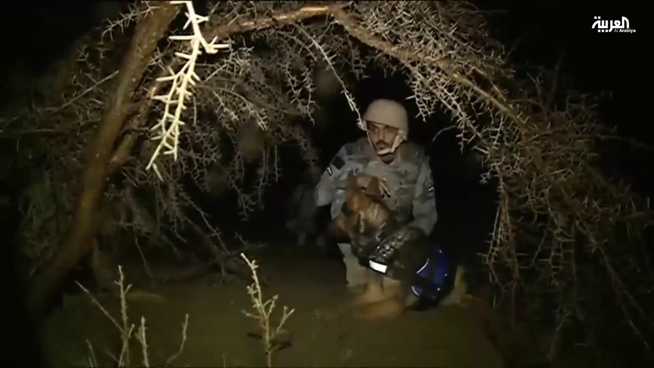 حرس الحدود يخصص وحدة k9 لملاحقة الإرهابيين والمتسللين