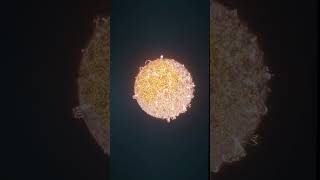 This Guy Build Entire Universe In Minecraft!