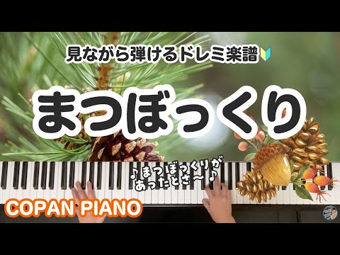まつぼっくり