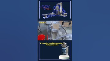 Rice Linear Weigher#granuleweigher #packingmachine  #machine #automaticpackingmachinery