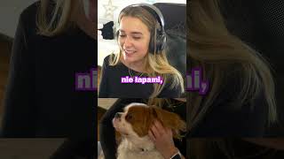 Samowystarczalny Simba