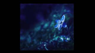 My Love From Another Star OST - Track 12 - Missing You