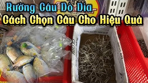 Các Loại Lưỡi Rường Câu Cá Dò Dìa Hiểu Quả