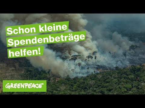 Greenpeace TV Spot: Schon kleine Spendenbeträge helfen!