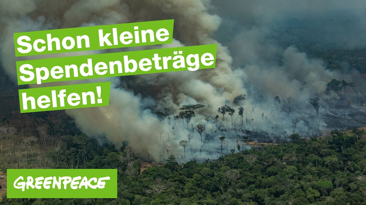 Greenpeace Tv Spot Schon Kleine Spendenbetrage Helfen Youtube