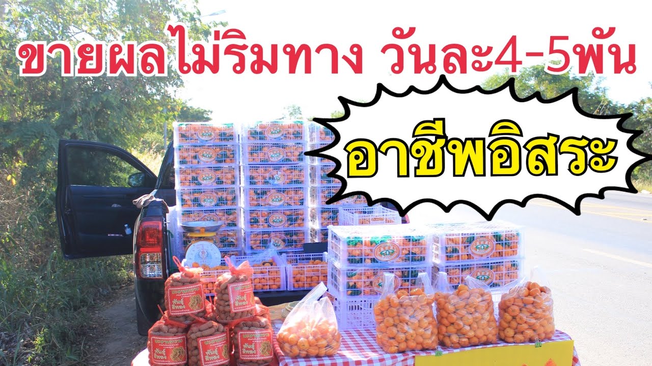 แนะนำอาชีพขายผลไม้ริมทางรายได้วันละ4-5พันบาท