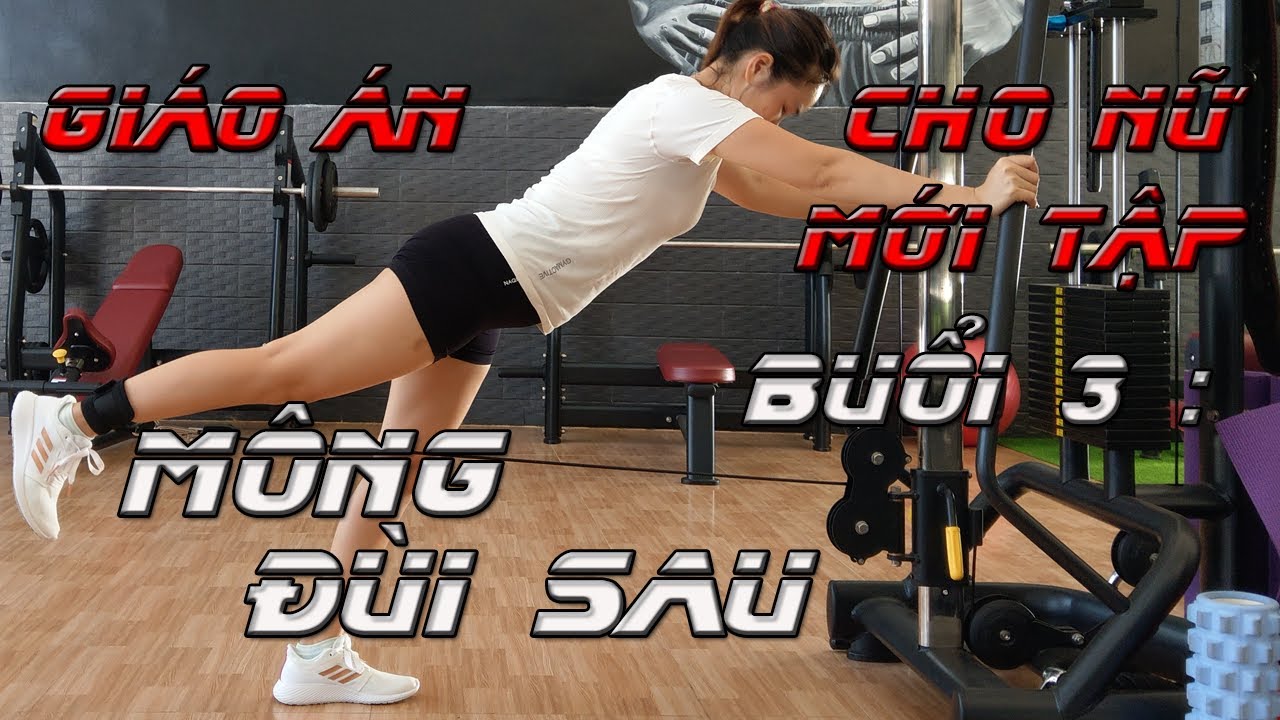 phòng tập gym cho nữ ở tphcm giá rẻ Update Lịch tập và Giáo Án cho Nữ mới Tập Gym | Buổi 3 : Mông - Đùi Sau | Nguyễn Hoàng Gym