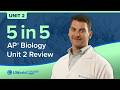 AP Biology Unit 2 Speed Review (Cells)