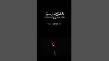 تلاوات عطرة #quran #القرآن_الكريم #قرآن #الله #راحة_نفسية #تلاوة_خاشعة #اكسبلورexplore