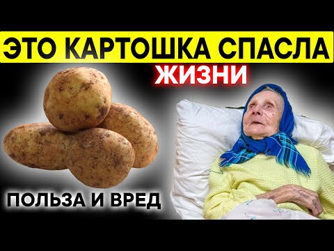Картошка Спасла Миллионы Жизни Людей !? Картофель Польза и Вред для ОРГАНИЗМА!