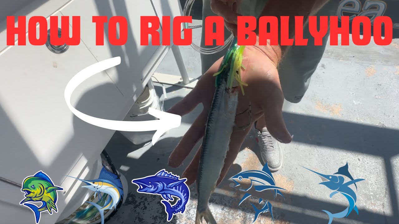 HOW TO RIG A BALLYHOO - YouTube