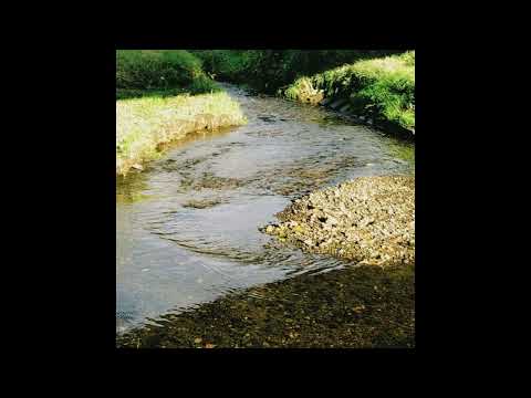 乙女絵画 (Otomekaiga) - 川 (2023) [Full Album]