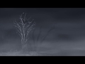 After Effects rolling, creeping fog effect