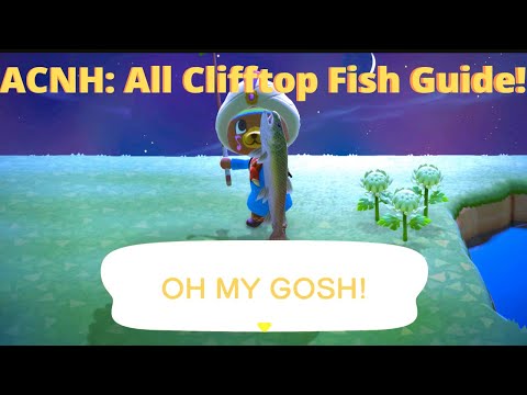 Video: Animal Crossing Stringfish: So Fangen Und Finden Sie Die Lage Auf Den Klippen Des Flusses