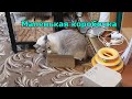 Маленькая коробочка.