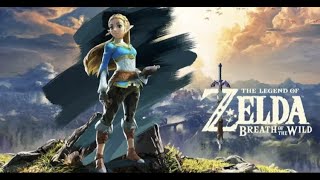 Zelda Breath of the Wild [Zelda Mod] Part 11