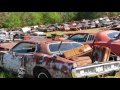 Old abandoned drag and rare cars in junkyard. Abandoned Muscle Cars In America 2017