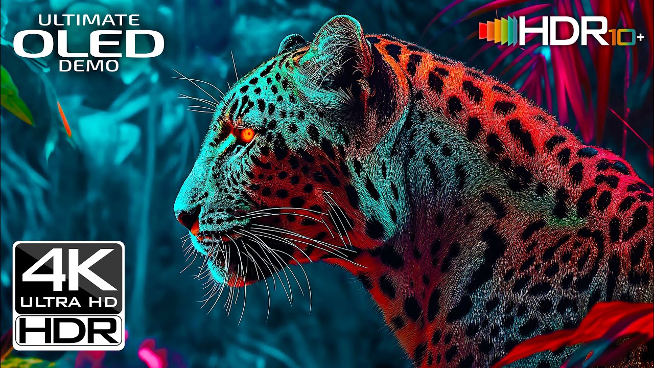 INCREDIBLE 4K ULTRA HD VIDEO 60FPS | HDR Test + Relaxing Study Music ...