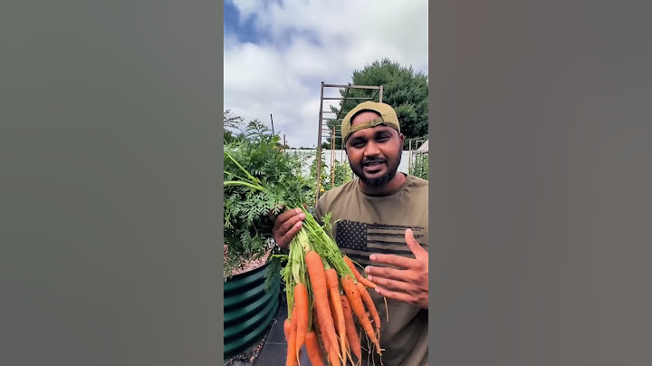 Carrots - Growing & Harvest Tips for Beginners #gardening #garden #longisland