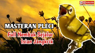 MASTERAN PLECI FULL NEMBAK SEJALUR ISIAN JANGKRIK