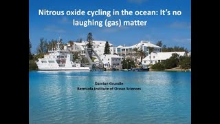 Nitrous oxide cycling in the ocean: It&#39;s no laughing (gas) matter