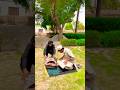 Allah tala ki madad hoi #pakistan #shortsfeed #islamicstoriesinurduandhindi #india #viralvideo