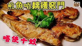 〈 職人吹水〉 食靚餸唔使10蚊 煎魚唔黐鑊竅門 Fried fish/4k編碼復刻製作/@Singsingkitchen