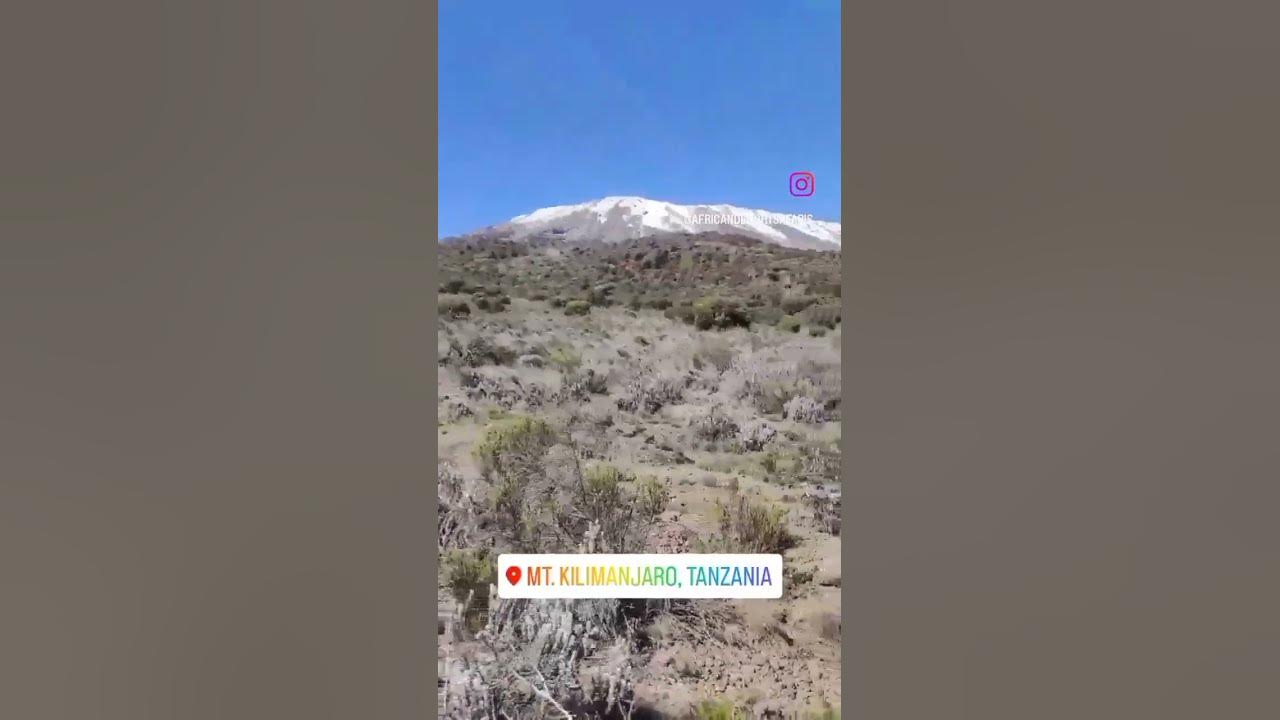 Mount Kilimanjaro Hiking| Tanzania Safari