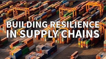 Building Resilience in Supply Chains