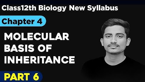 part6) Ch 4)  molecular basis of inheritance class12th new syllabus of science student ex.in marathi