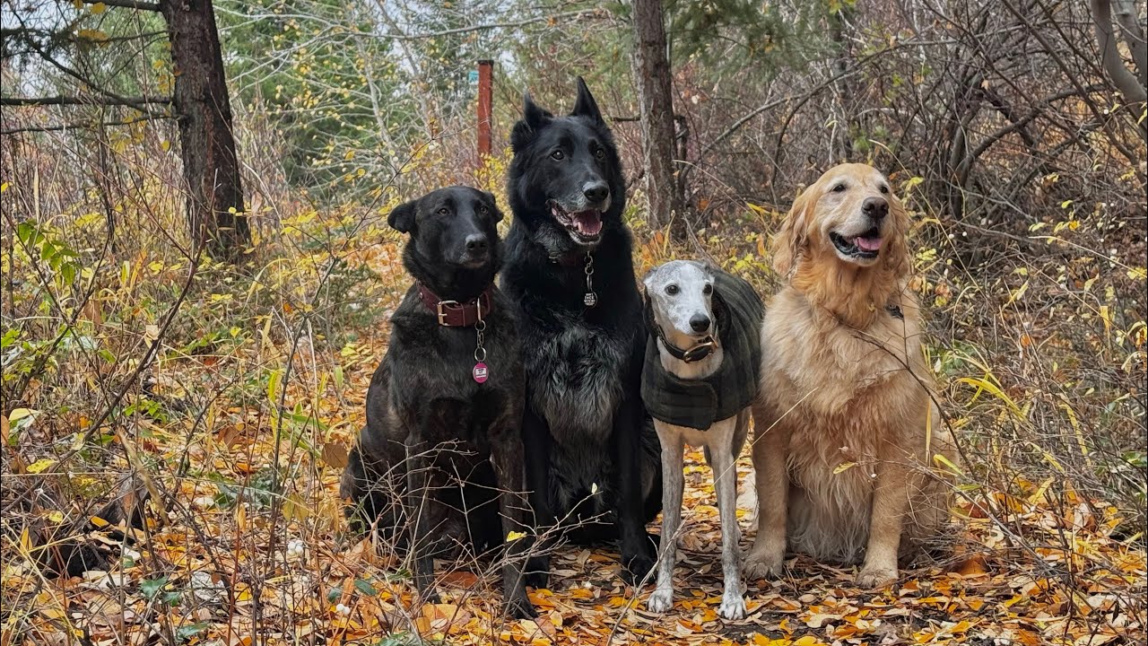 Keep Chasin’ The Dream 