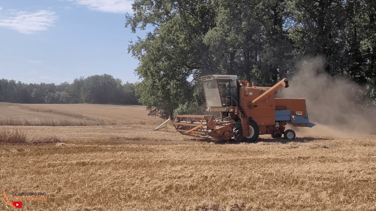 Żniwa 2023 bez muzyki - Ryk silników Bizon Z056