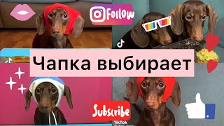 ПОДБОРКА ЛЮБИМЫХ ВИДЕО ИЗ TIKTOK 4 II Чапитосики