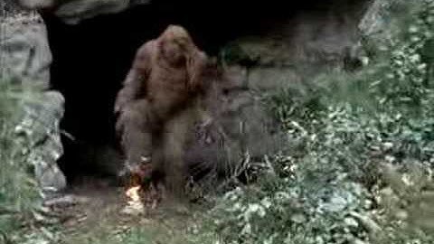 Messin With Sasquatch - Flaming Bag