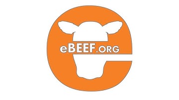 What is a high density SNP chip?