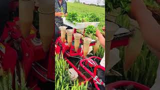 green seedlings feed the red machine, soil opens to receive life, precision meeting growth in motion