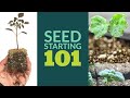 Seed starting 101 | Basics to get growing | The Impatient Gardener