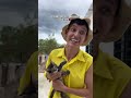 El gato que sabe leer 😨 #humor #viral