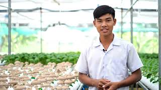 ហ្វេសបុក៖ណែតម៉ារ៉ាឌី/Putong/Pu Tong សូមឆាត #អេអាយ #AI