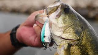 Late fall, early winter Bass fishing tips from MLF Pro Zack Birge - Episode 6