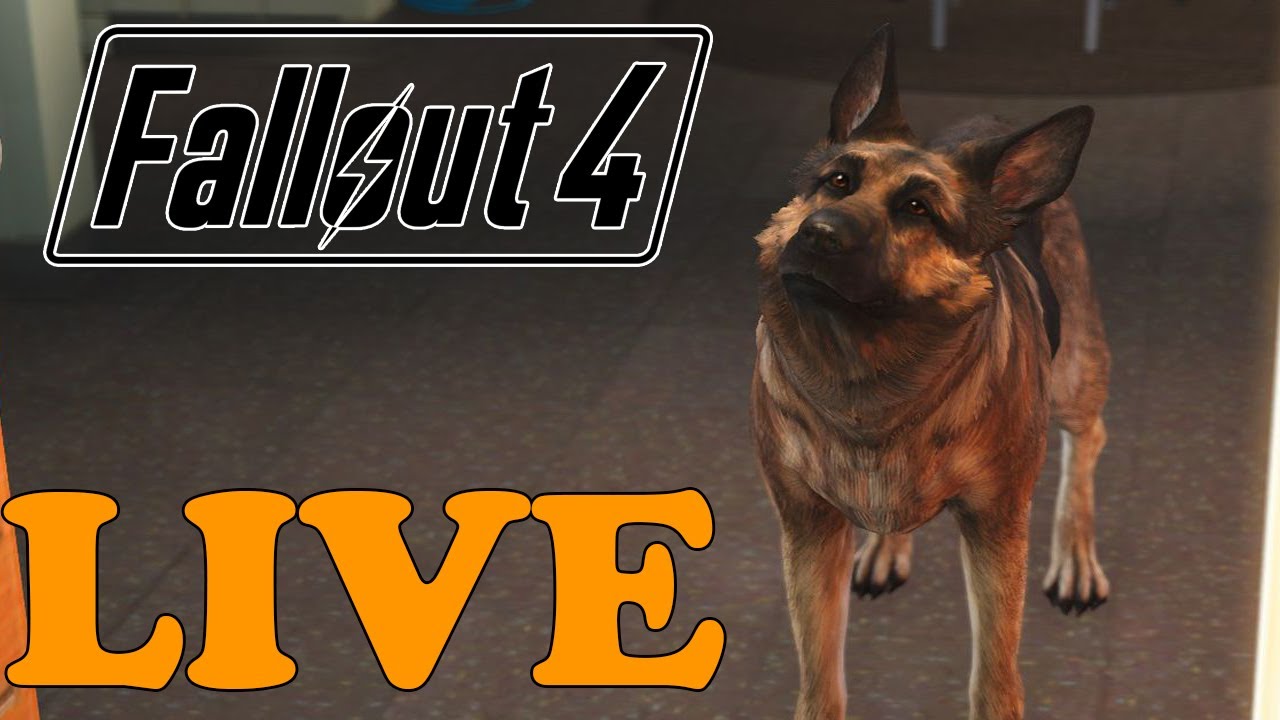 [ENG/USA] Small Streamer Tries to survive in a Nuclear Wasteland AGAIN ...