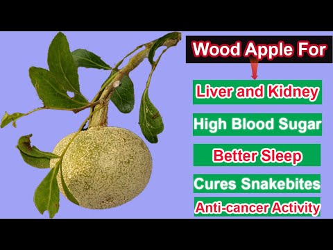 9 Health Benefits of Wood Apple